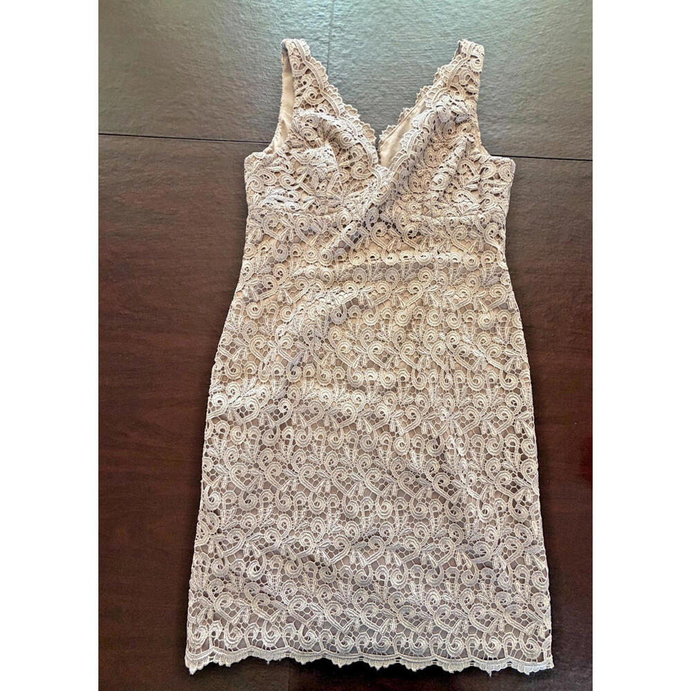 Adrianna Papell Red Carpet Lace Sheath Dress Blush Rose Size 12Wedding